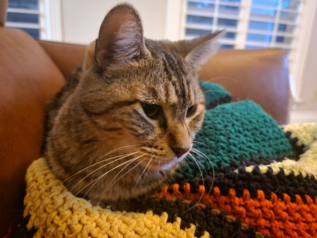 Sam