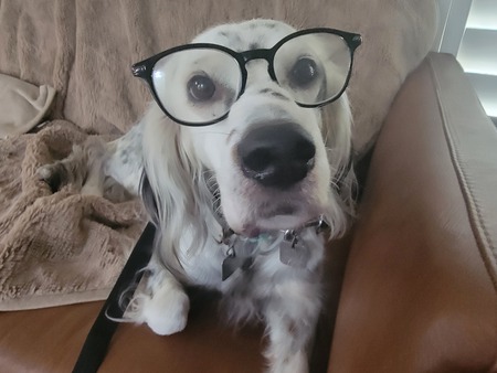 Delilah