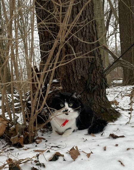 Pierre in the Winter 