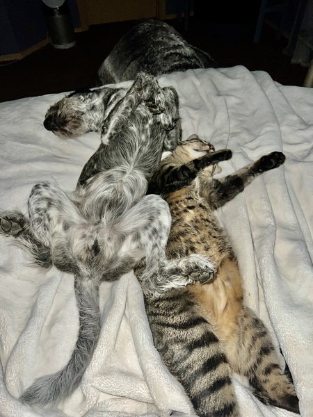 Arthur and Hemi 