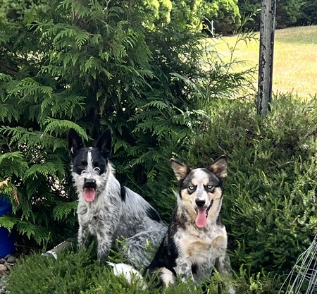Arthur and Vada 