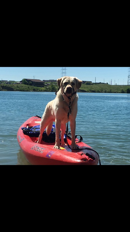 Ranger-King of the lake!