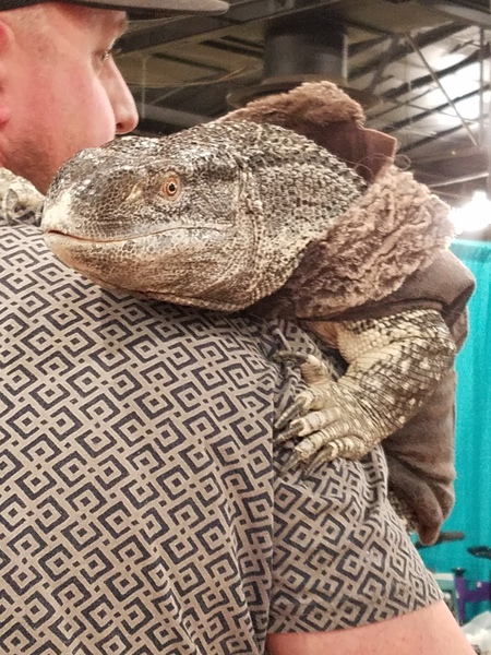 Black throat monitor 