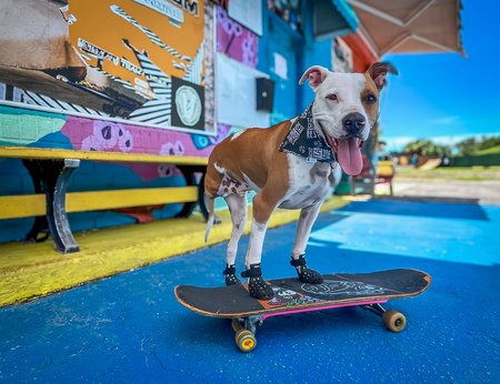 Raleigh Roo