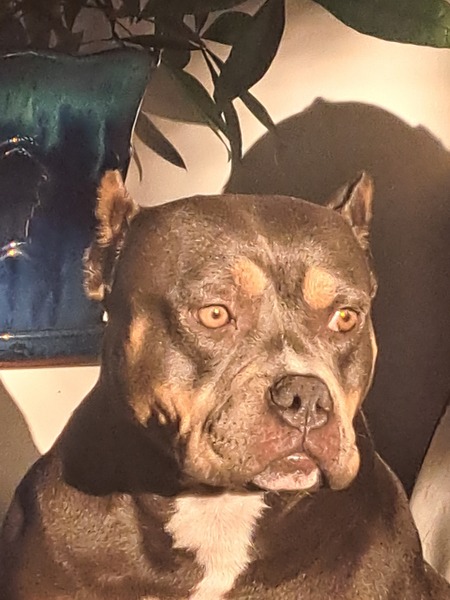 Miss Rosie
