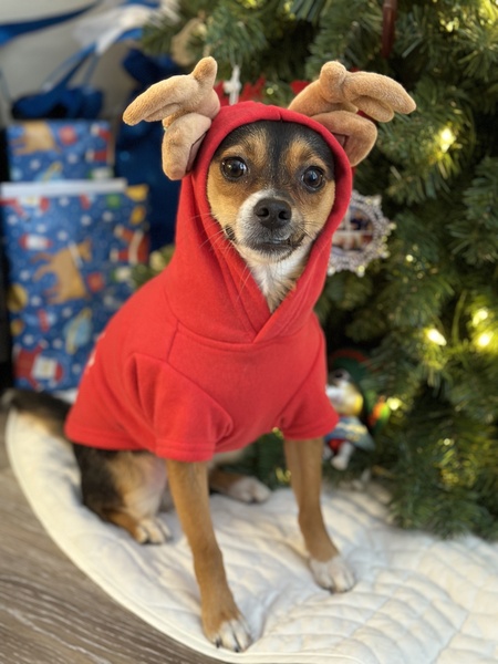 Oscar