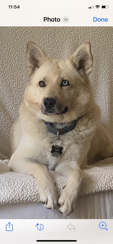 Finn