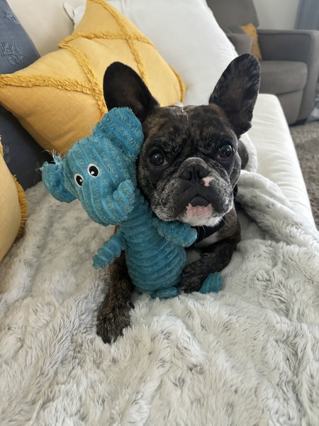 Kona