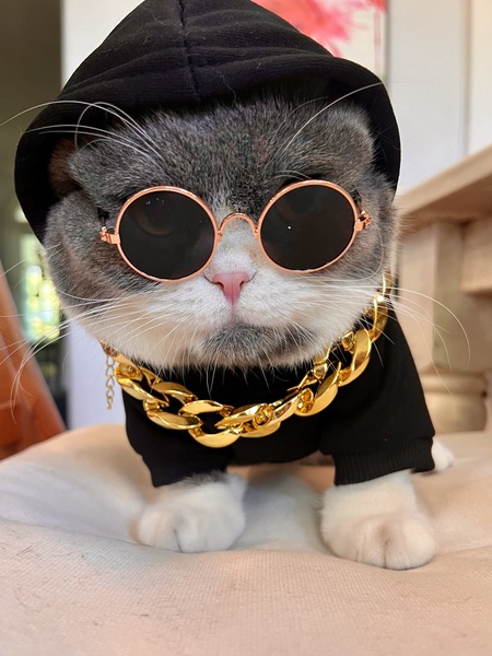 Napoleon (Notorious N.A.P)