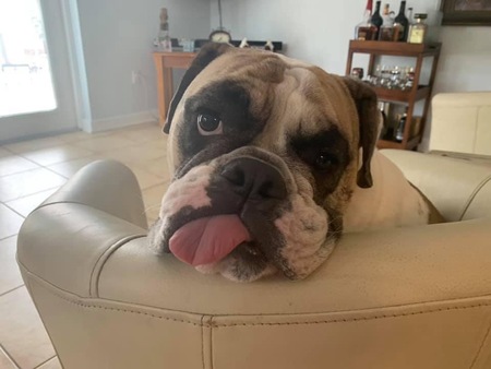 Mack