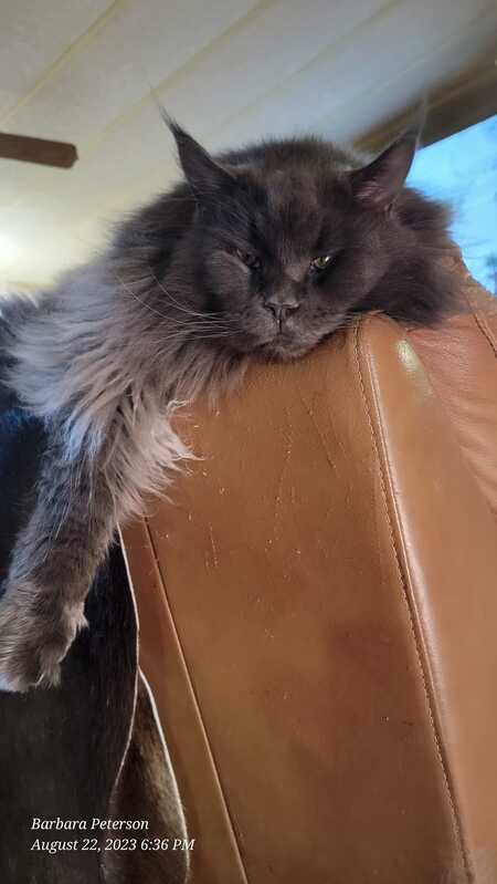 Benny