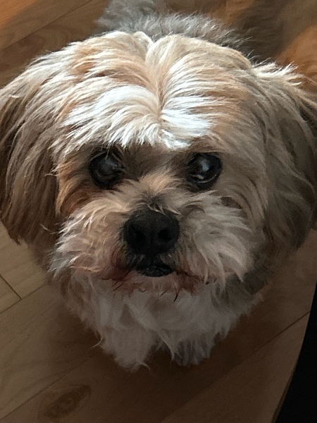 WICKETT
