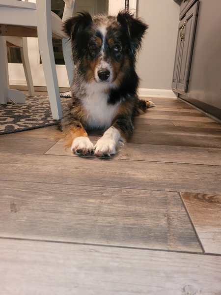 Max