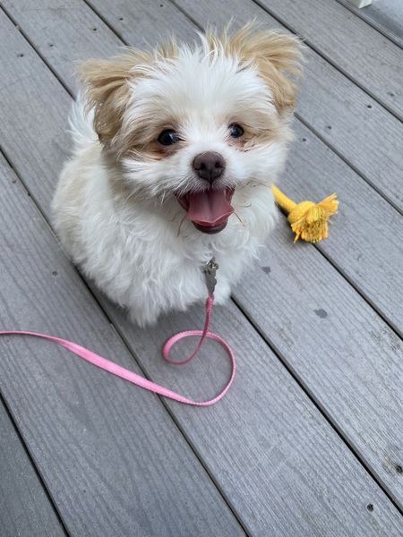 Zoey