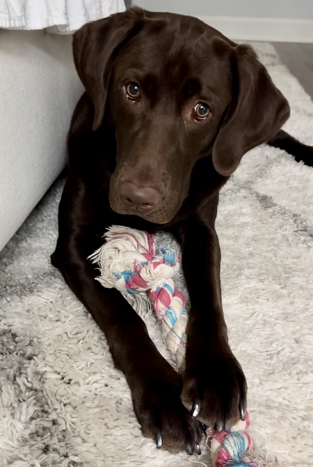 KONA
