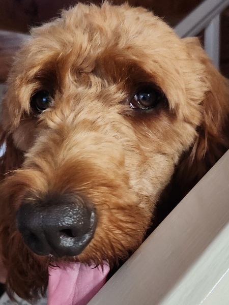 MURPHY