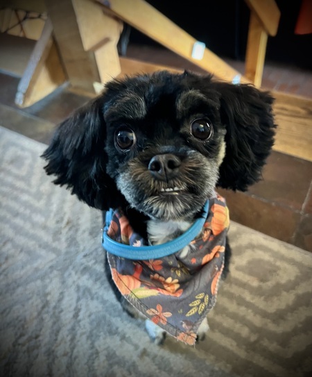 Artie