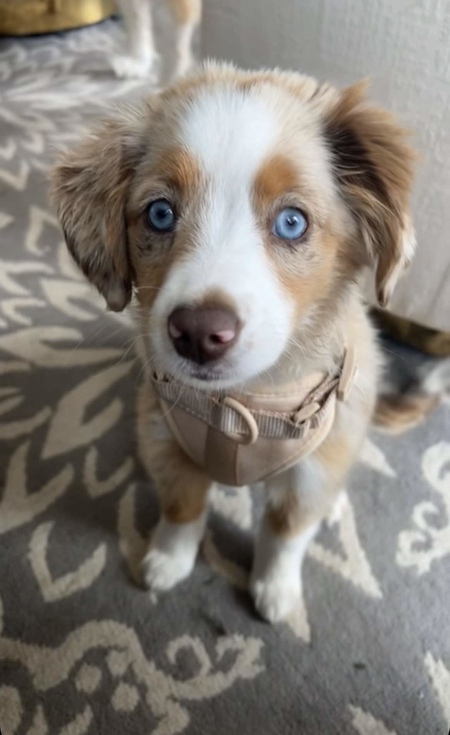 Winnie