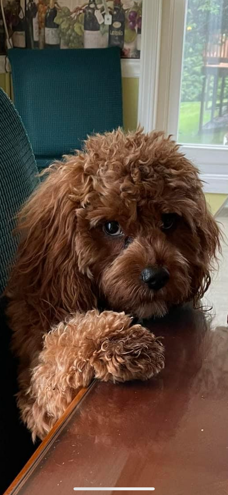 Charlee