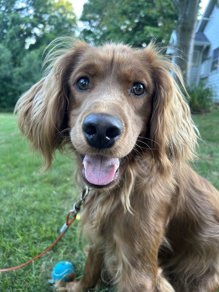 Charlie