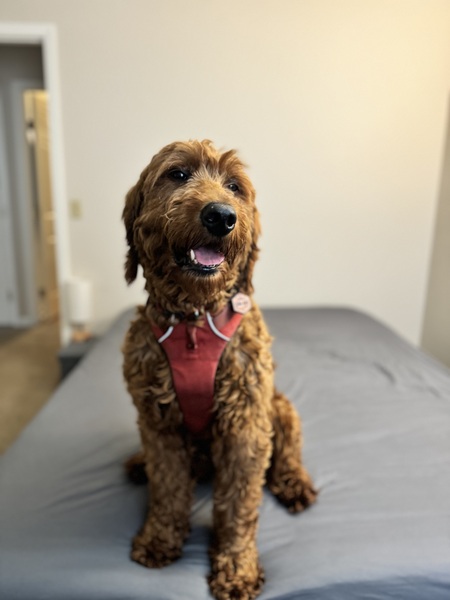 Luna Mae