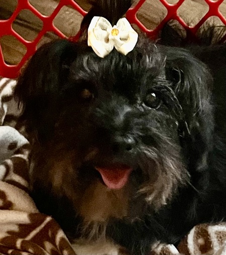 Minnie Pearl