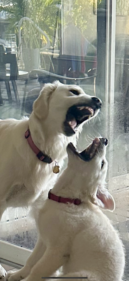 Bay and Sage 