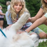 Entry image for Kesem at Indiana - Therapy Doggos