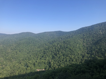 Entry image for Kazumi Haag. Clicking this image will show a larger photo