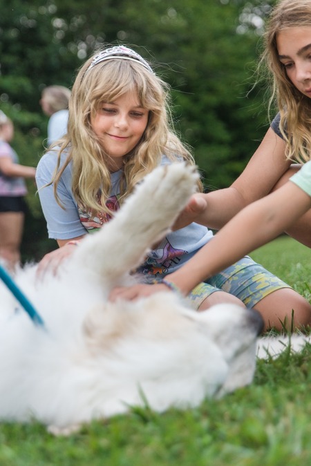 Entry image for Kesem at Indiana - Therapy Doggos. Clicking this image will show a larger photo