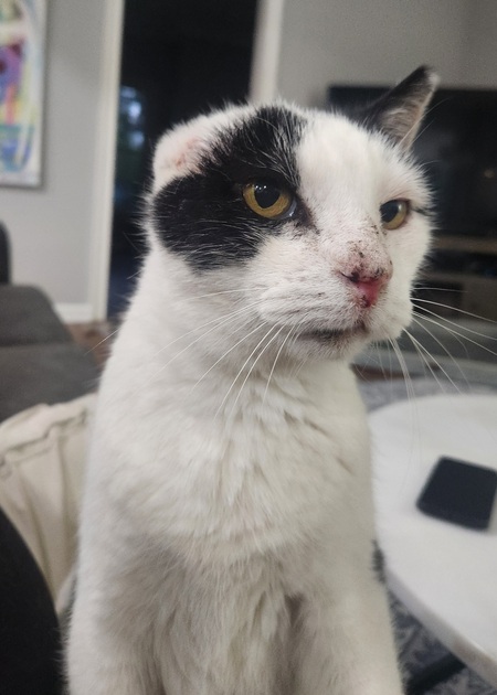 Titus