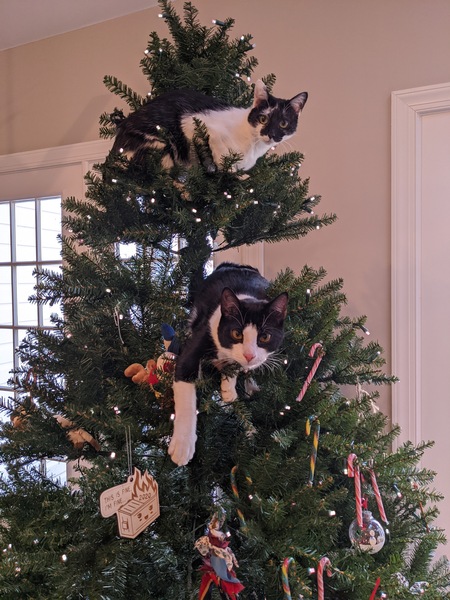 Cleo and Oliver 