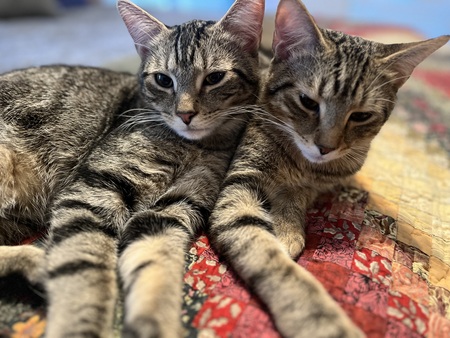 Jake & Turner