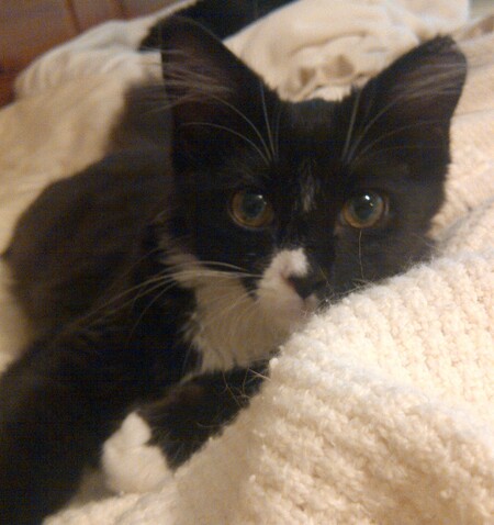 Peeper