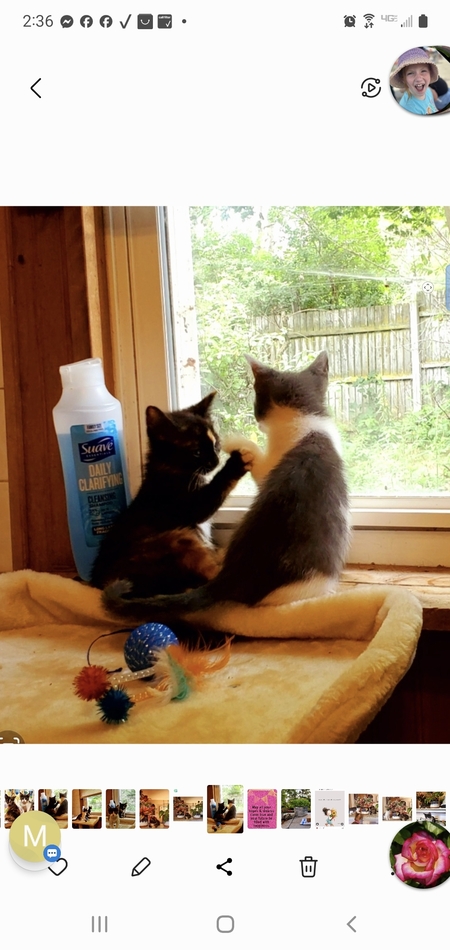JASMINE & DUKE