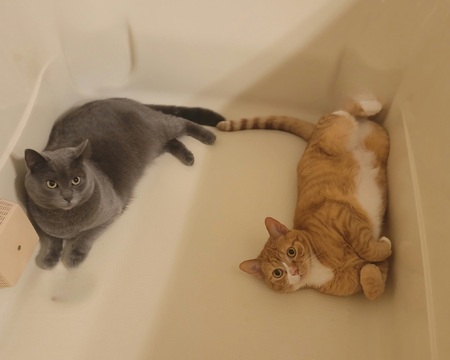 Cloud and Phoebe 