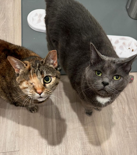 Uno and Luna 