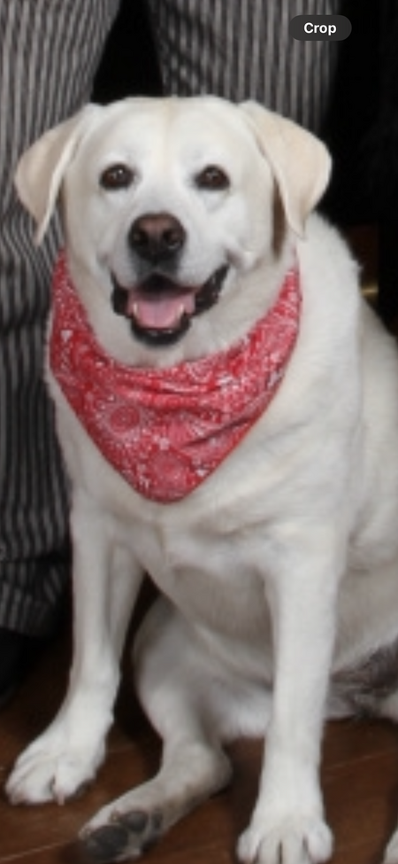 Jax