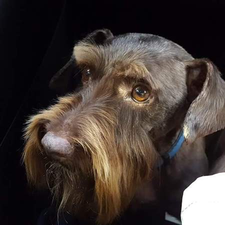 Bosco P. Coltrane