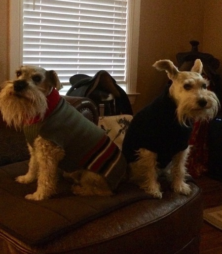 Charlie and Ivan