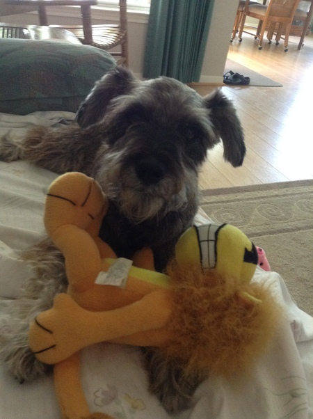 Jake 