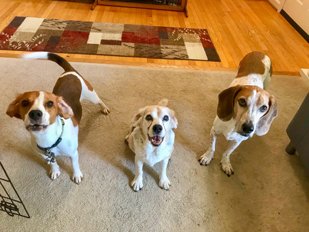 Dex, Watson, Luther