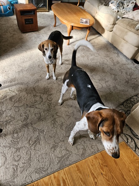 Charlie and Holly 