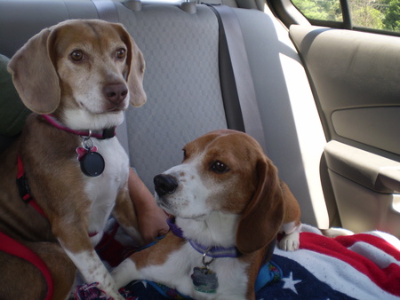 Lola and Baxter