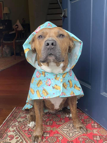 Molly Pupke