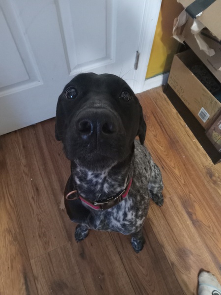 Shiloh