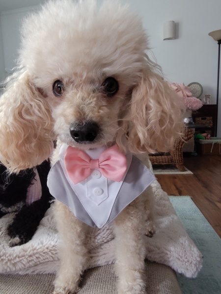 Rudy