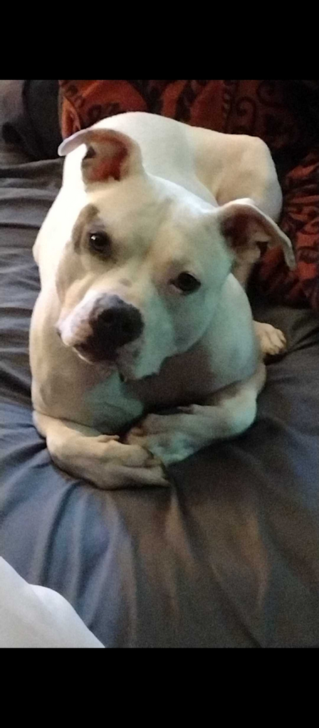 Jackson