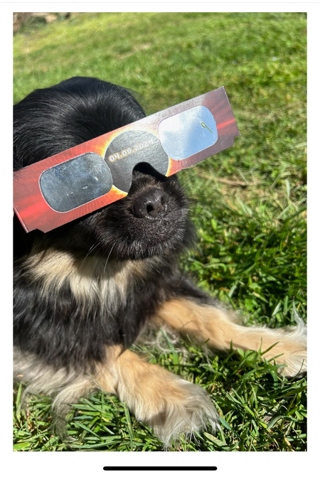 Sophia's Total Eclipse of Our Hearts ❤️