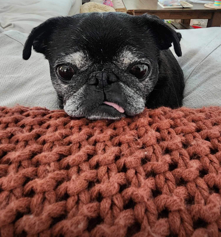 Mia